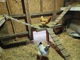 26383 Meridian Rd - Photo 42