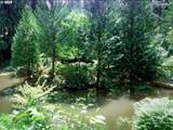 1876 Palisades Lake Ct - Photo 13