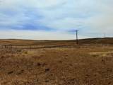  Erickson Rd - Photo 13