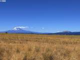  Erickson Rd - Photo 15