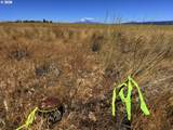  Erickson Rd - Photo 4