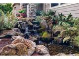 4191 Reed St - Photo 6