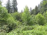  Coleman Rd - Photo 16