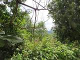  Coleman Rd - Photo 17