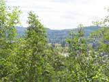  Coleman Rd - Photo 3
