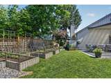 12276 Mountain Sun Dr - Photo 45