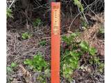 298 Boone Rd - Photo 13
