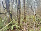 298 Boone Rd - Photo 34