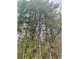 298 Boone Rd - Photo 37