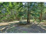 36 Shippey Cutoff Rd - Photo 24
