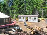 36 Shippey Cutoff Rd - Photo 33