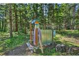 36 Shippey Cutoff Rd - Photo 35
