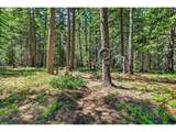 36 Shippey Cutoff Rd - Photo 37