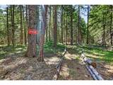 36 Shippey Cutoff Rd - Photo 38