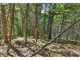 36 Shippey Cutoff Rd - Photo 39