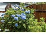 4321 Terlyn Ct - Photo 41