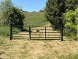 32784 Laurelview Rd - Photo 2