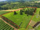 32784 Laurelview Rd - Photo 3
