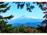 429 Skyline Blvd - Photo 18