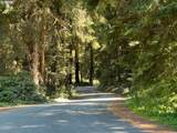 420 Elk Creek Rd - Photo 16
