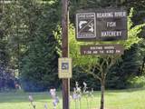00 Fish Hatchery Dr - Photo 3