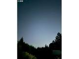 13130 Skyline Blvd - Photo 42