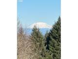 13130 Skyline Blvd - Photo 48