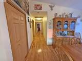 46 Palomino Dr - Photo 19