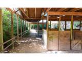 89464 Sunny Loop Ln - Photo 37