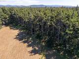  Bradley Lake Ln - Photo 7