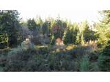  Hard Cash Ln - Photo 24
