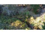  Hard Cash Ln - Photo 28