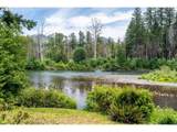 49482 Mckenzie Hwy - Photo 17