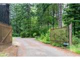 49482 Mckenzie Hwy - Photo 19
