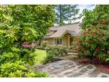 49482 Mckenzie Hwy - Photo 3