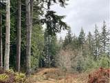 76781 Palm Hill Rd - Photo 10