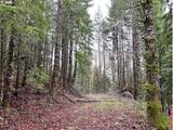 76781 Palm Hill Rd - Photo 15