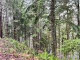 76781 Palm Hill Rd - Photo 16