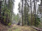 76781 Palm Hill Rd - Photo 17