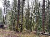 76781 Palm Hill Rd - Photo 19