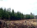 76781 Palm Hill Rd - Photo 2