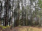 76781 Palm Hill Rd - Photo 21