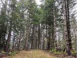 76781 Palm Hill Rd - Photo 23