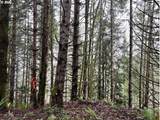 76781 Palm Hill Rd - Photo 25