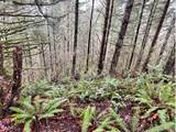 76781 Palm Hill Rd - Photo 26