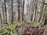76781 Palm Hill Rd - Photo 27