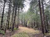 76781 Palm Hill Rd - Photo 28
