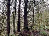 76781 Palm Hill Rd - Photo 29