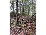 76781 Palm Hill Rd - Photo 33