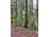 76781 Palm Hill Rd - Photo 34